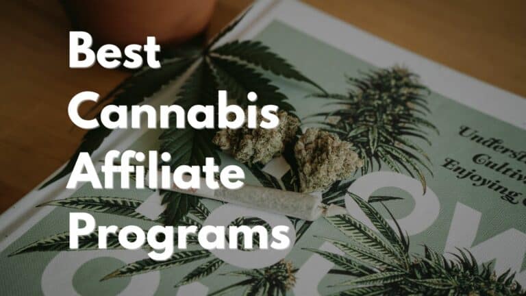 10 best cannabis affiliate programs in 2024