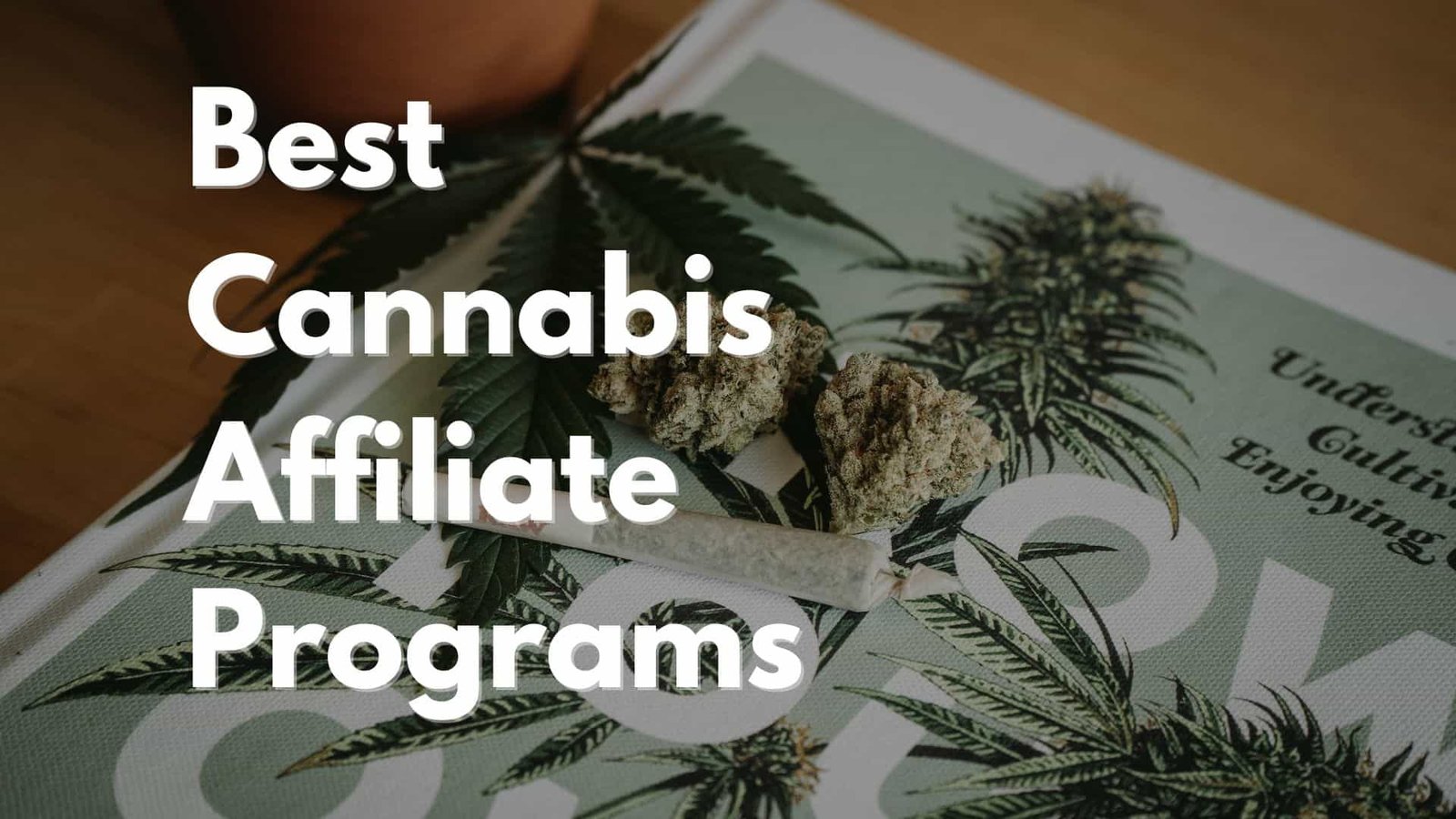 Best cannabis affiliate programs header