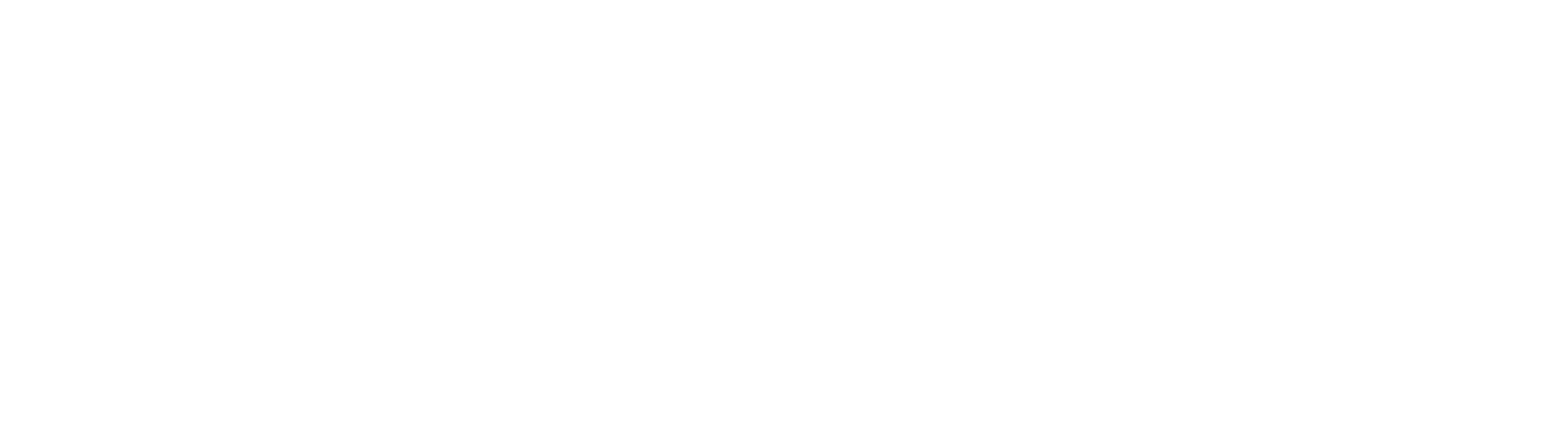 David Ruhm Logo White